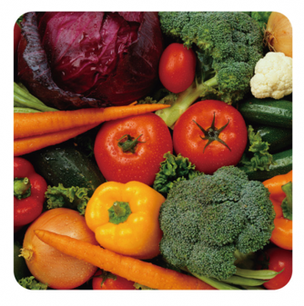 nutrition